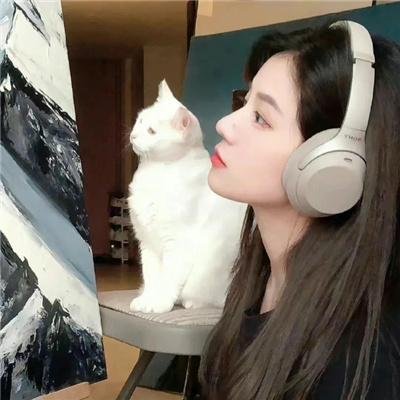 飞吧!